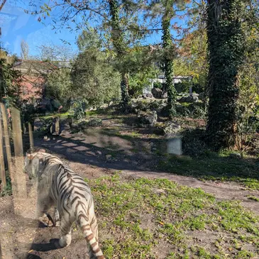 Weekend et Hébergement Insolite en région Aquitaine