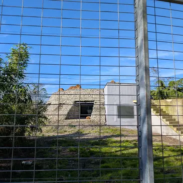 Dormir avec les Jaguars au Zoo de Bordeaux-Pessac Dormir avec les Jaguars au Zoo de Bordeaux-Pessac