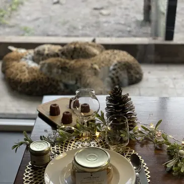 Weekend et Hébergement Insolite en région Aquitaine