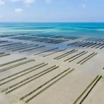Aéroport de Lannion, Côtes-d'Armor (22) - Baptême de l'air hélicoptère