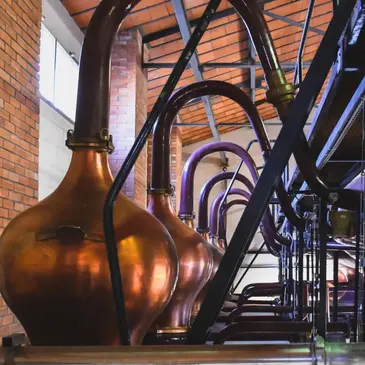 Week-end Dégustation de Cognac à l'Hôtel Ligaro à Jarnac