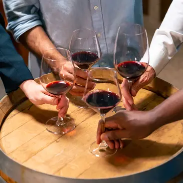 Cours d'œnologie en région Ile-de-France Cours d'œnologie en région Ile-de-France