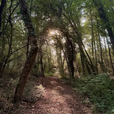 Weekend et Hébergement Insolite en région Midi-Pyrénées