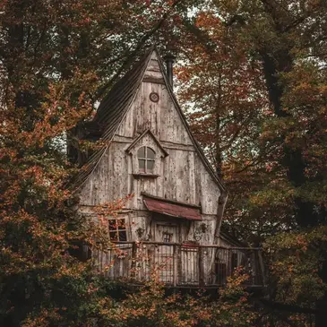 Cabane dans les Arbres à Sexcles