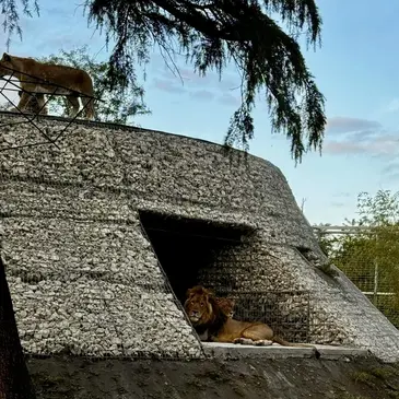 Offrir Weekend et Hébergement Insolite département Gironde