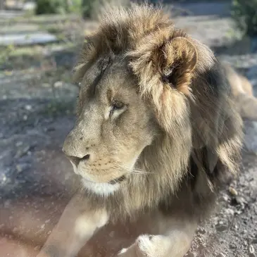Offrir Weekend et Hébergement Insolite en Aquitaine Offrir Weekend et Hébergement Insolite en Aquitaine