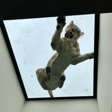 Zoo de Bordeaux-Pessac, Gironde (33) - Weekend et Hébergement Insolite