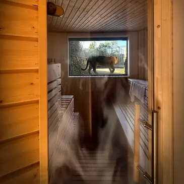 Dormir avec les Lions au Zoo de Bordeaux-Pessac en région Aquitaine Dormir avec les Lions au Zoo de Bordeaux-Pessac en région Aquitaine