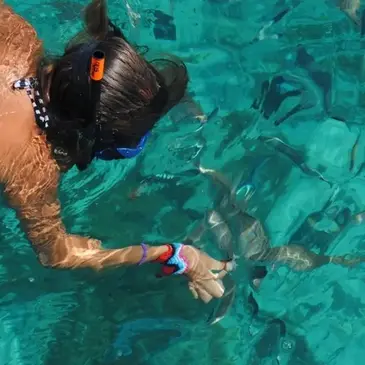 Balade en bateau proche Saint-Cyr-sur-Mer