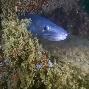 Gironde (33) Aquitaine - Sport Aquatique Gironde (33) Aquitaine - Sport Aquatique