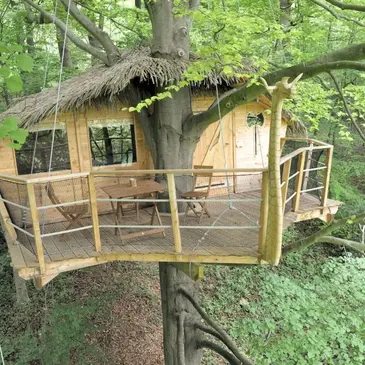 Cabane dans les Arbres à Saint-Germain-des-Essourts