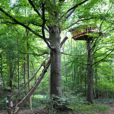 Cabane dans les Arbres à Saint-Germain-des-Essourts