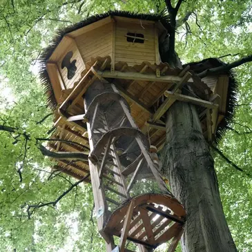 Cabane dans les Arbres à Saint-Germain-des-Essourts en région Normandie