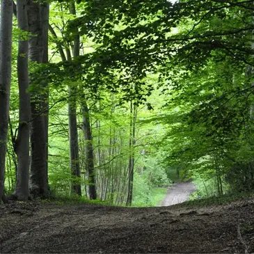 Weekend et Hébergement Insolite proche Saint-Germain-des-Essourts Weekend et Hébergement Insolite proche Saint-Germain-des-Essourts