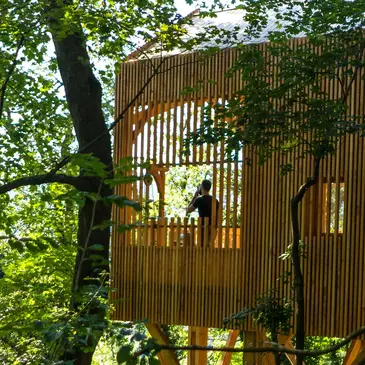 Cabane dans les Arbres avec Spa à Caluire-et-Cuire