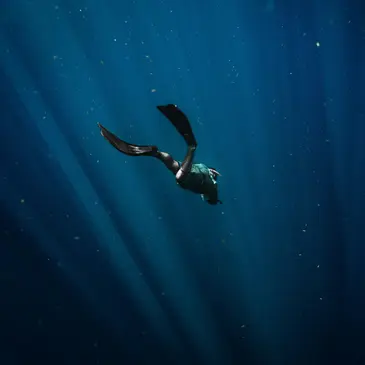 Brevet de Plongée Niveau 1 à Biscarrosse