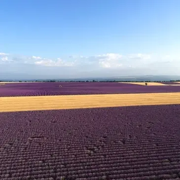 Sport Aérien en région PACA et Corse