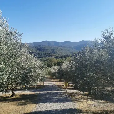 Pyrénées orientales (66) Languedoc-Roussillon - Week end Pyrénées orientales (66) Languedoc-Roussillon - Week end