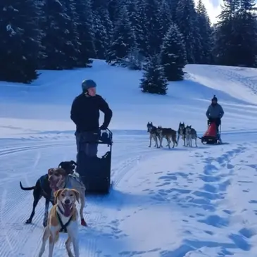 Drôme (26) Rhône-Alpes - Montagne - Sports d'Hiver Drôme (26) Rhône-Alpes - Montagne - Sports d'Hiver