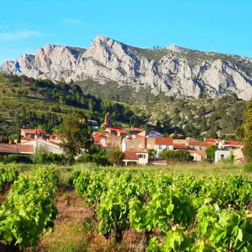 Cours d'œnologie, département Pyrénées orientales Cours d'œnologie, département Pyrénées orientales