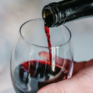 Vingrau, à 30 min de Perpignan, Pyrénées orientales (66) - Cours d'œnologie Vingrau, à 30 min de Perpignan, Pyrénées orientales (66) - Cours d'œnologie