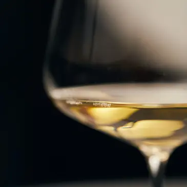 Initiation à l'Œnologie au Domaine Vents du Sud près de Perpignan en région Languedoc-Roussillon