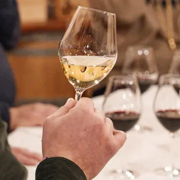 Cours d'Œnologie au Château Pas de L'Âne à Saint-Émilion