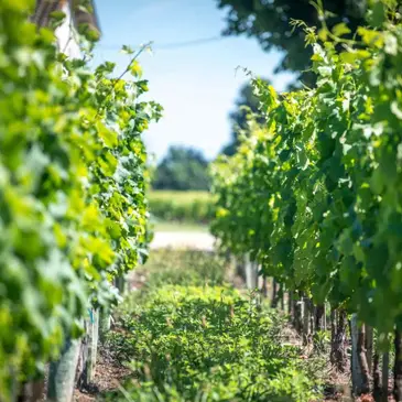 Gironde (33) Aquitaine - Urbain