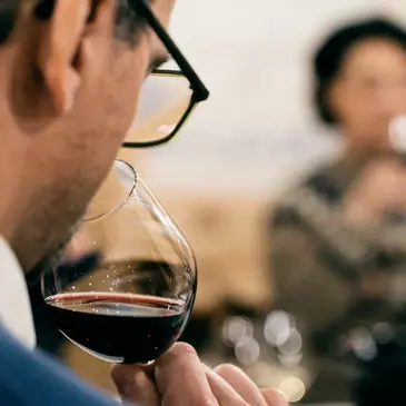 Saint-Émilion, Gironde (33) - Cours d'œnologie