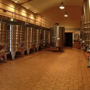 Cours d'œnologie proche Saint-Émilion