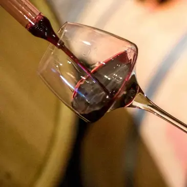 Cours d'Œnologie au Château Pas de L'Âne à Saint-Émilion en région Aquitaine