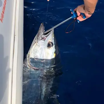 Bouches du Rhône (13) PACA et Corse - Sport Aquatique Bouches du Rhône (13) PACA et Corse - Sport Aquatique