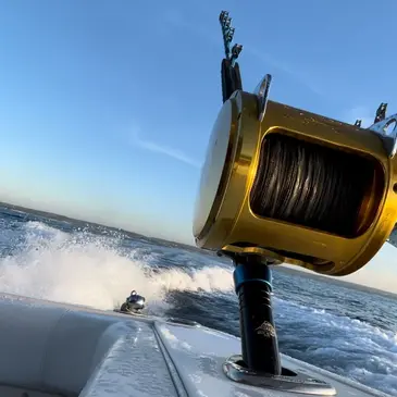 Sausset-les-Pins, Bouches du Rhône (13) - Pêche au gros Sausset-les-Pins, Bouches du Rhône (13) - Pêche au gros