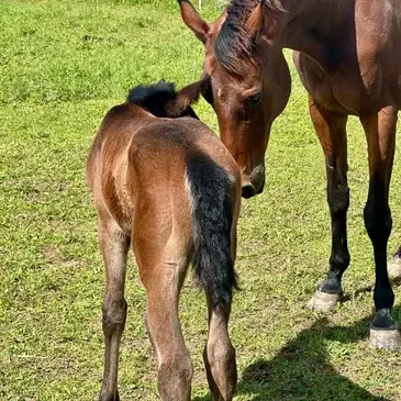 Offrir Weekend et Hébergement Insolite département Vaucluse Offrir Weekend et Hébergement Insolite département Vaucluse