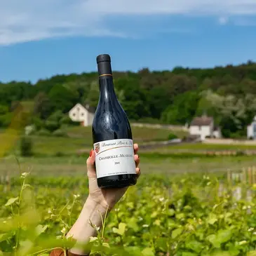 Réserver Week end Gastronomique département Côte d'or