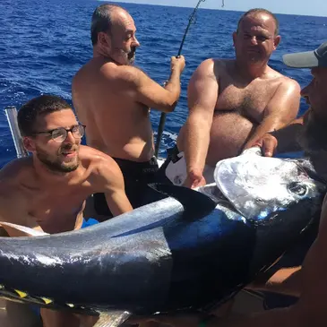 Pêche au gros en région PACA et Corse