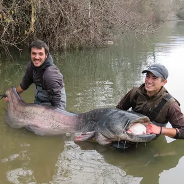 Pêche aux Carnassiers à Foix