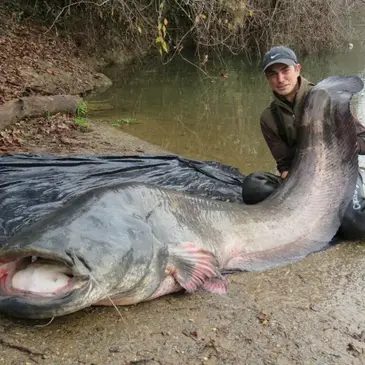 Pêche aux Carnassiers à Foix en région Midi-Pyrénées Pêche aux Carnassiers à Foix en région Midi-Pyrénées