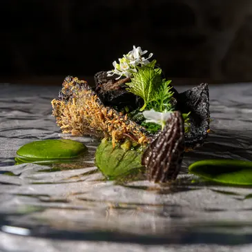 Offrir Week end Gastronomique département Cantal