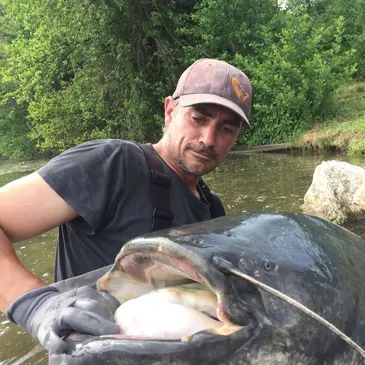 Montauban, Tarn et garonne (82) - Pêche au gros Montauban, Tarn et garonne (82) - Pêche au gros