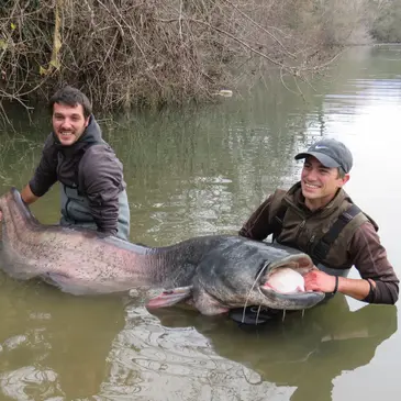 Pêche au gros proche Montauban