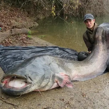 Pêche aux Carnassiers à Cahors en région Midi-Pyrénées