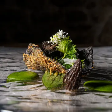 Réserver Week end Gastronomique en Auvergne