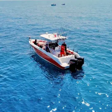 Pêche au gros proche Le Grau-du-Roi Pêche au gros proche Le Grau-du-Roi