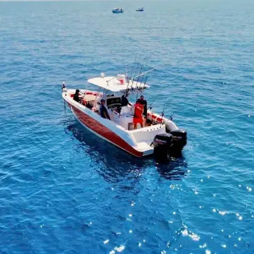 Pêche au gros, département Gard Pêche au gros, département Gard