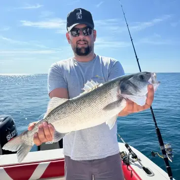 Le Grau-du-Roi, Gard (30) - Pêche au gros Le Grau-du-Roi, Gard (30) - Pêche au gros