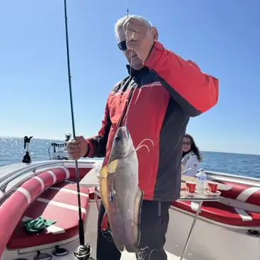 Pêche au gros proche Le Grau-du-Roi