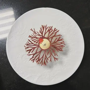 Rennes, Ille et vilaine (35) - Cours de Cuisine