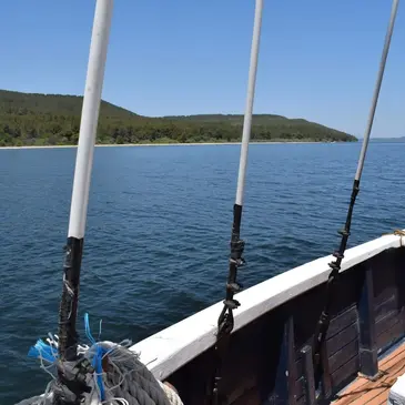 Réserver Balade en bateau en PACA et Corse