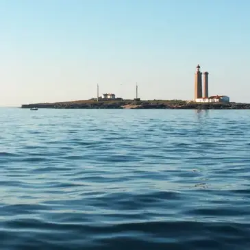 Offrir Pêche au gros département Vendée Offrir Pêche au gros département Vendée